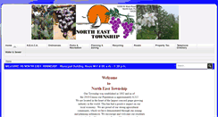 Desktop Screenshot of northeasttwp.org